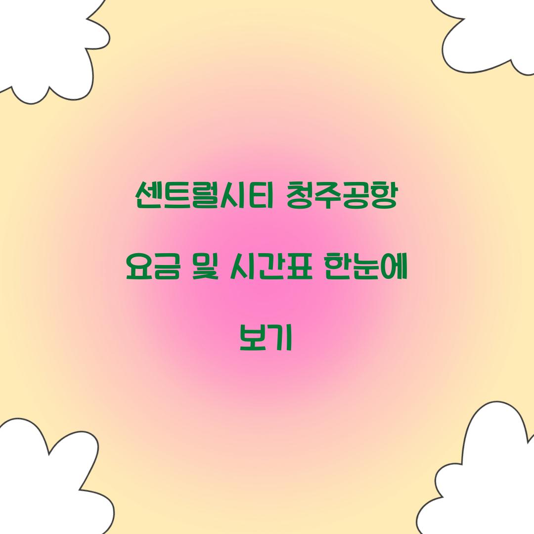 센트럴시티 청주공항 요금