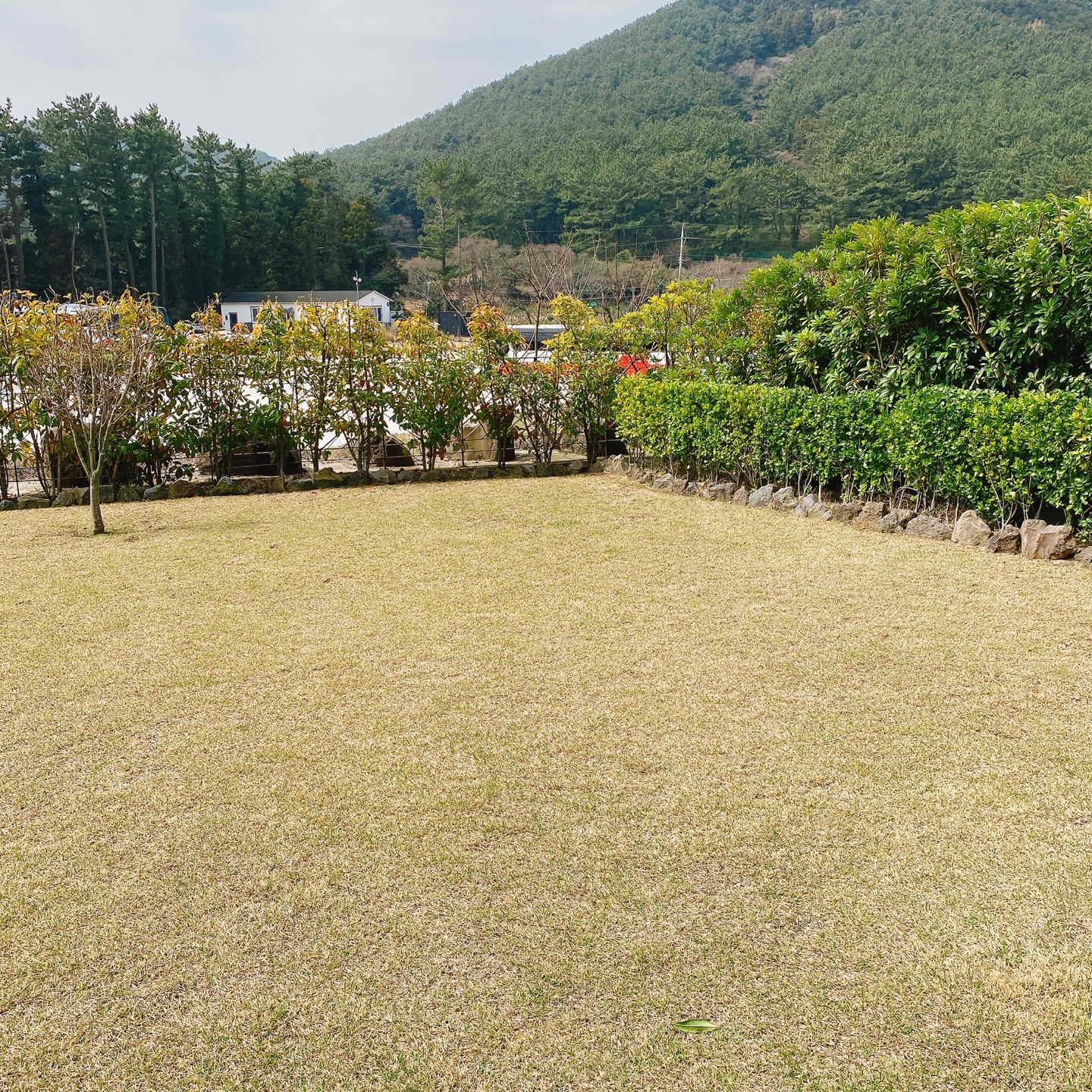 제주 정실마을 월정사 브런치 맛집 블리스찬 카페