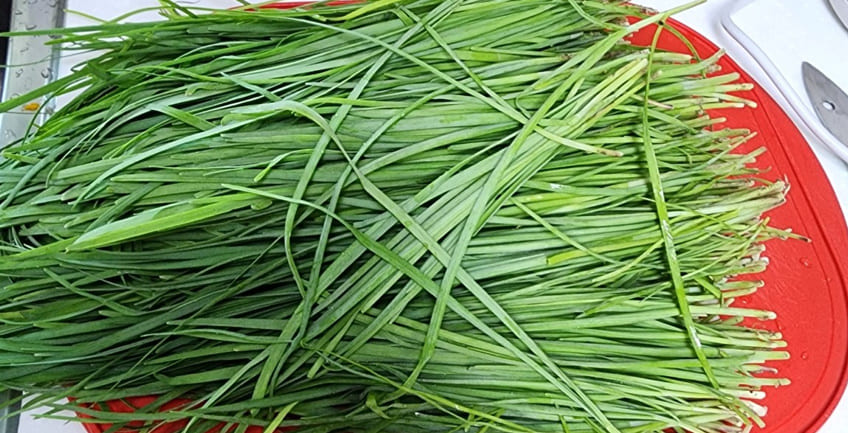 도마 위에 부추