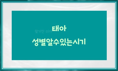 태아 성별알수있는시기