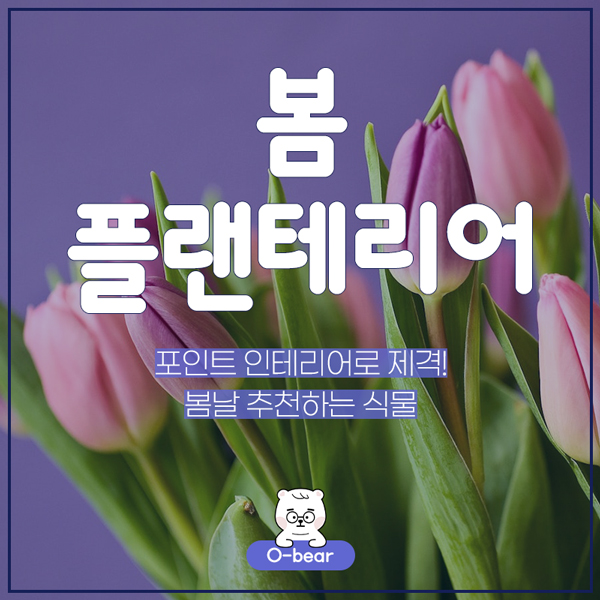 봄 플랜테리어