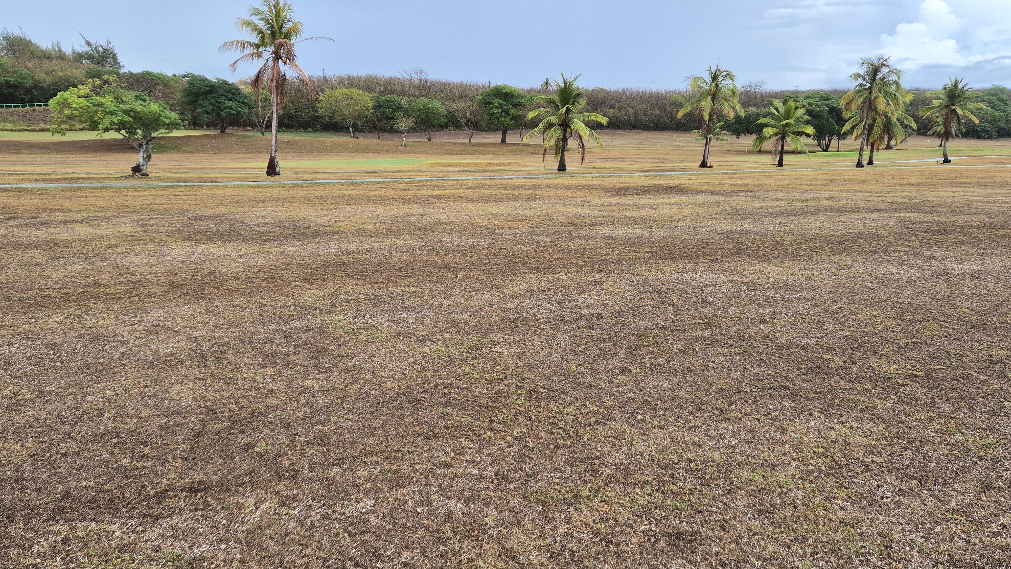 코랄오션cc 골프 라운드