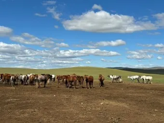 몽골 여행 날씨 필수 준비물_20
