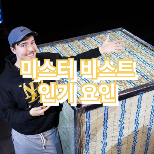 미스터 비스트