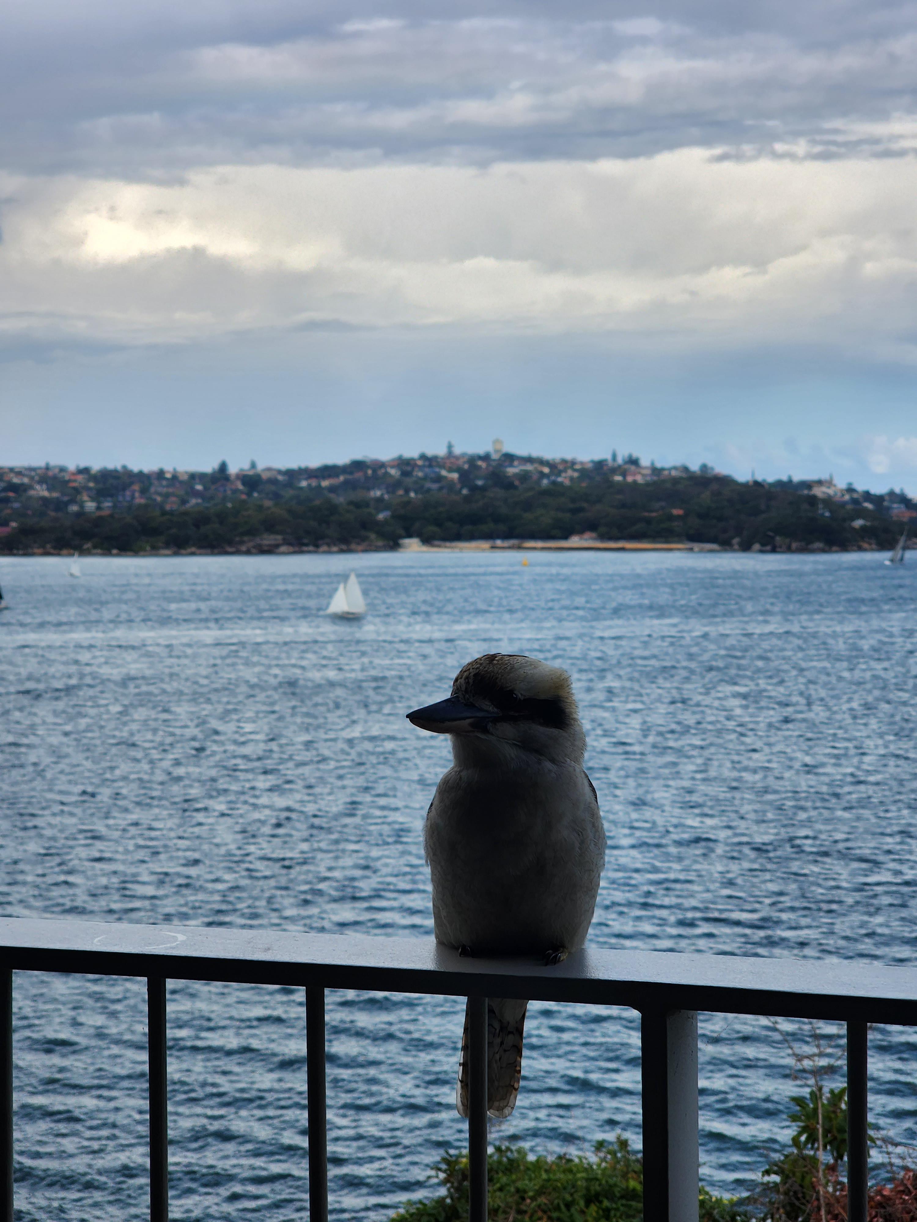 호주 결혼식 피로연