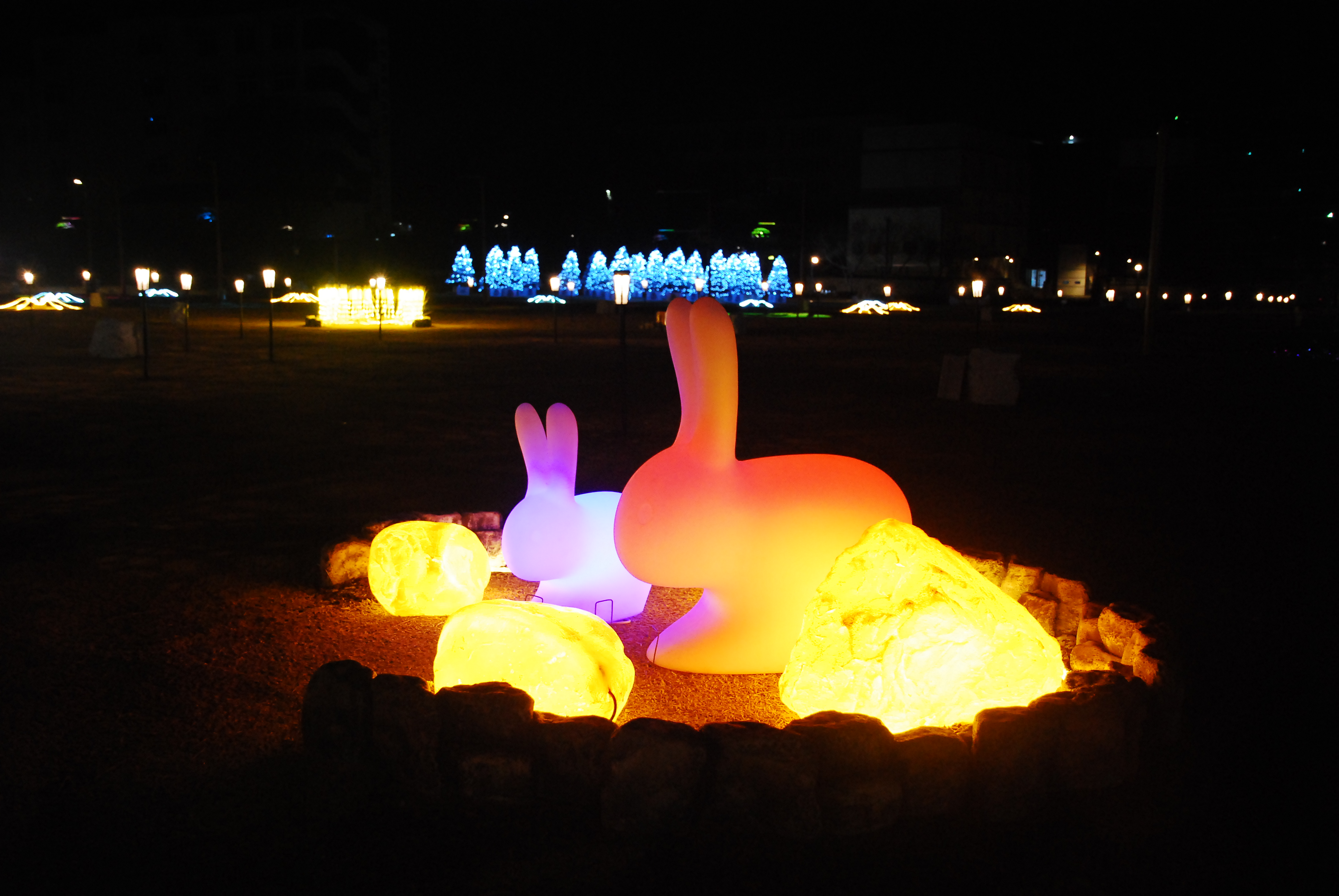 솔빛축제