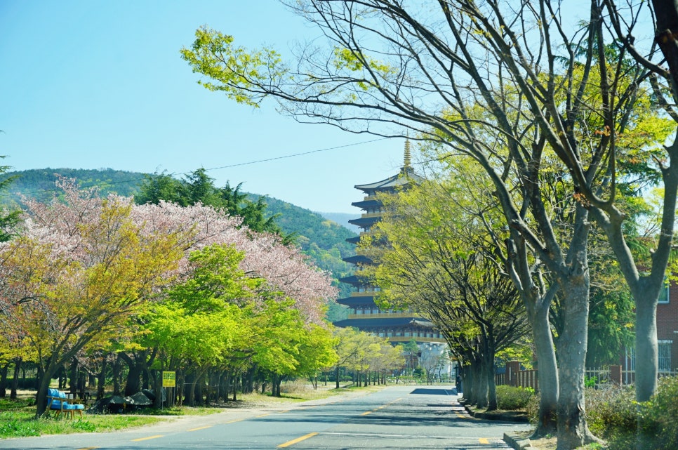 벚꽃명소