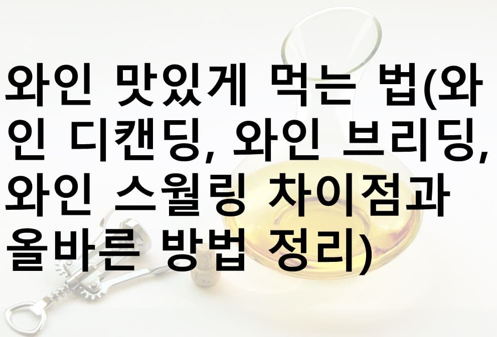 와인 디캔딩, 디캔터, 와인 브리딩, 와인 스월링, 와인 맛있게 먹는 법, 레드 와인, 화이트 와인, 샴페인