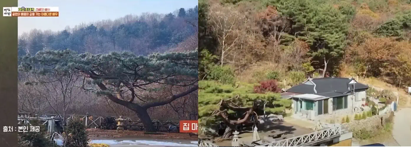 김혜정 전원주택