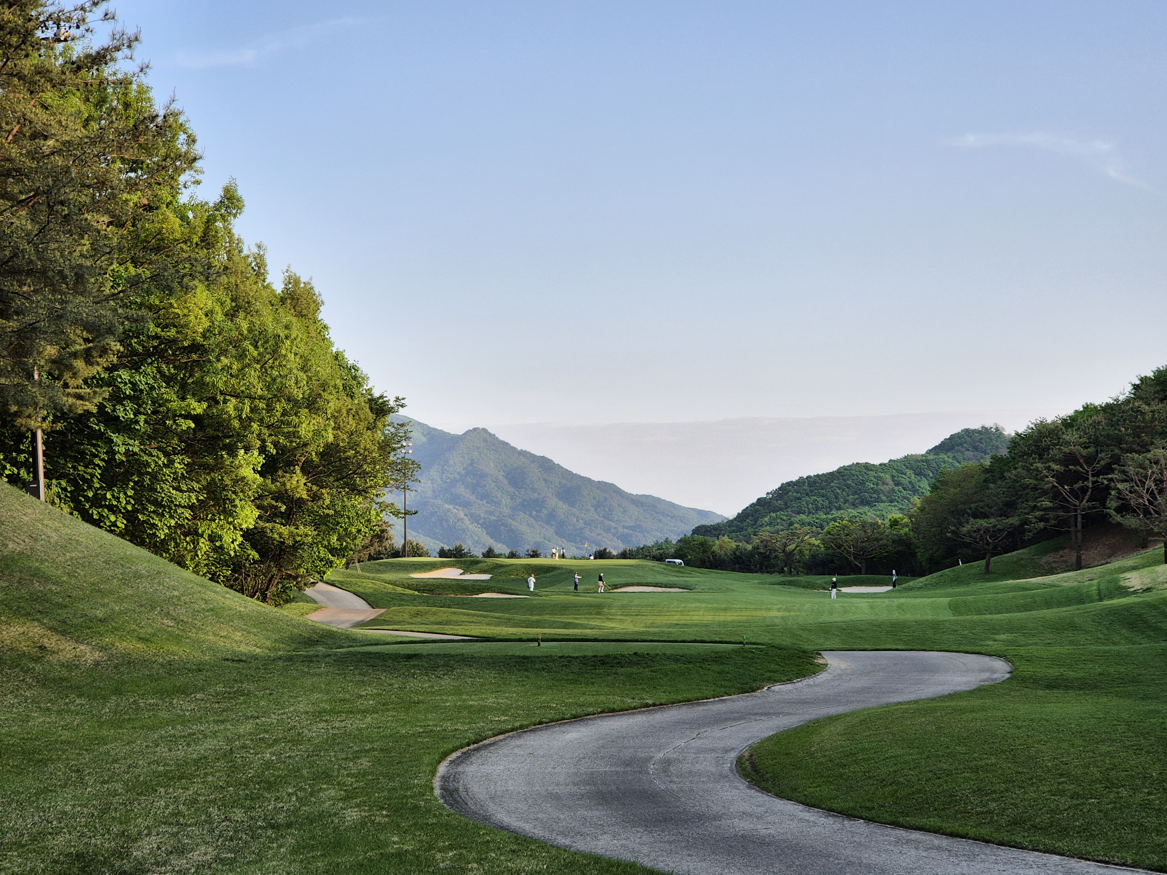 베어크리크cc 크리크코스