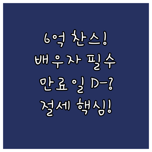 6억 공제 만료일 계산법 법률혼 배우..
