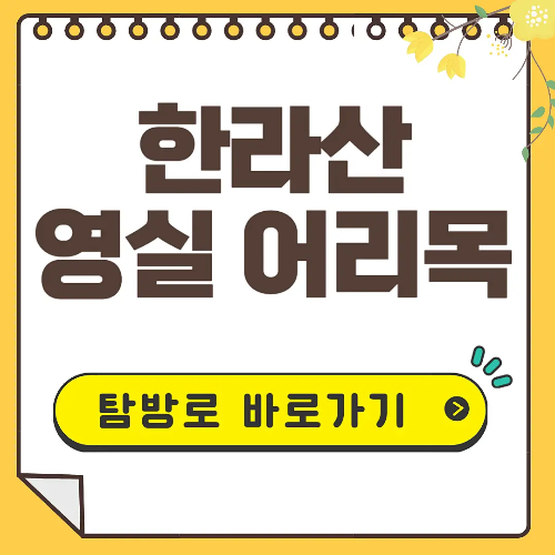 한라산 영실 어리목