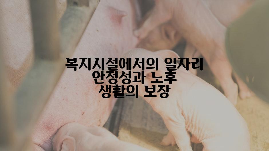 복지시설에서의 일자리 안정성과 노후 생활의 보장