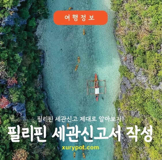 필리핀 세관신고서 작성방법