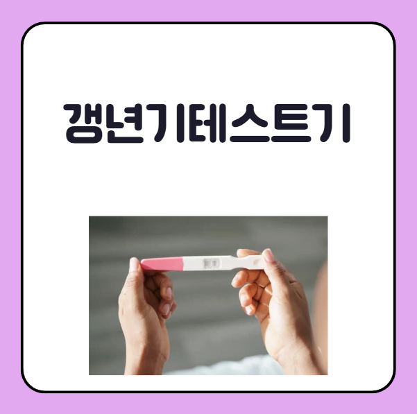 갱년기 테스트기