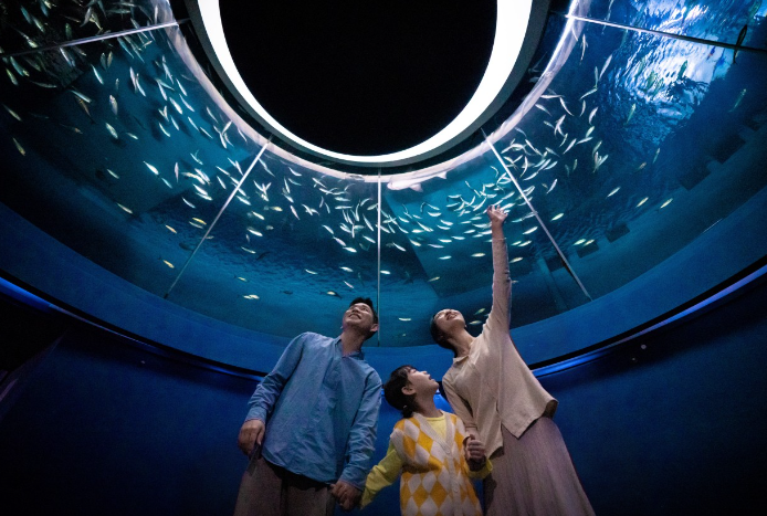 대구아쿠아리움1