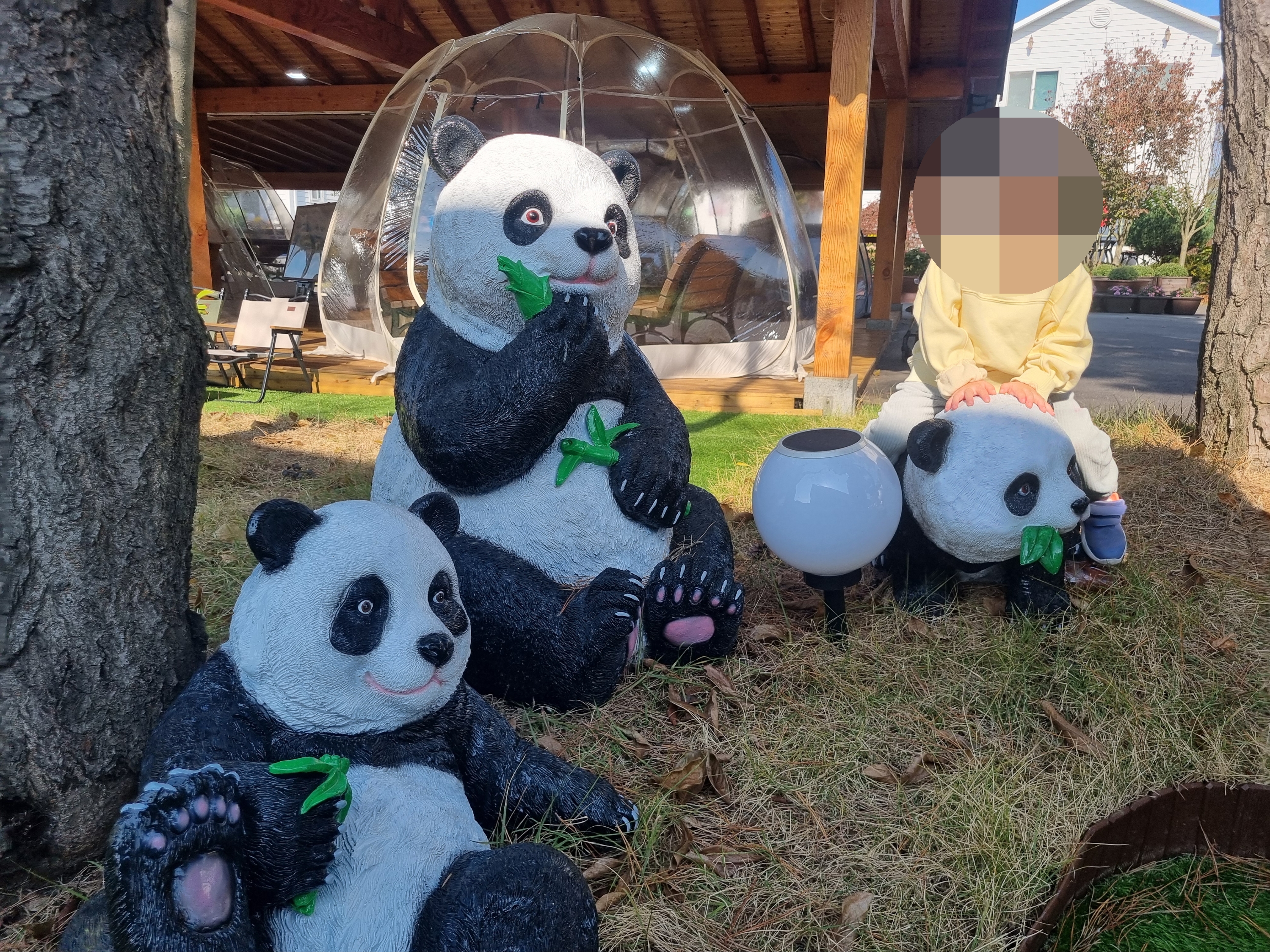 카페에서 아이가 제일 좋아하는 팬더타기