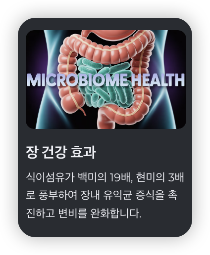 카무트효소-효능-장-건강-효과
