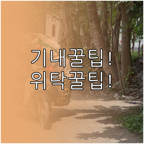 그레이터베이항공 기내 수하물부터 위탁..