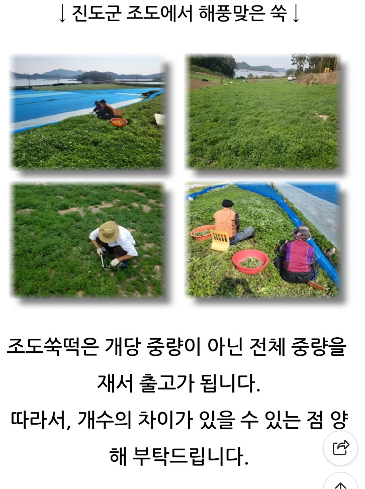 한국기행-상조도-쑥-