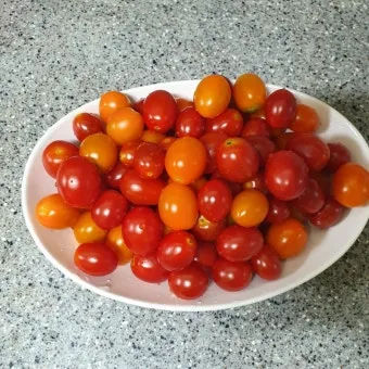 2주 이상 방울토마토 보관 시 꿀팁 오래 보관_17