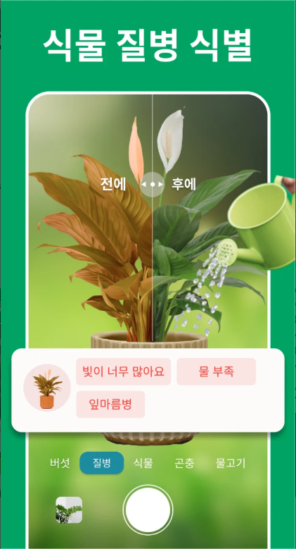 식물 이름 찾기 어플, 식물 식별기, AI 식물 식별자 및 식물 관리