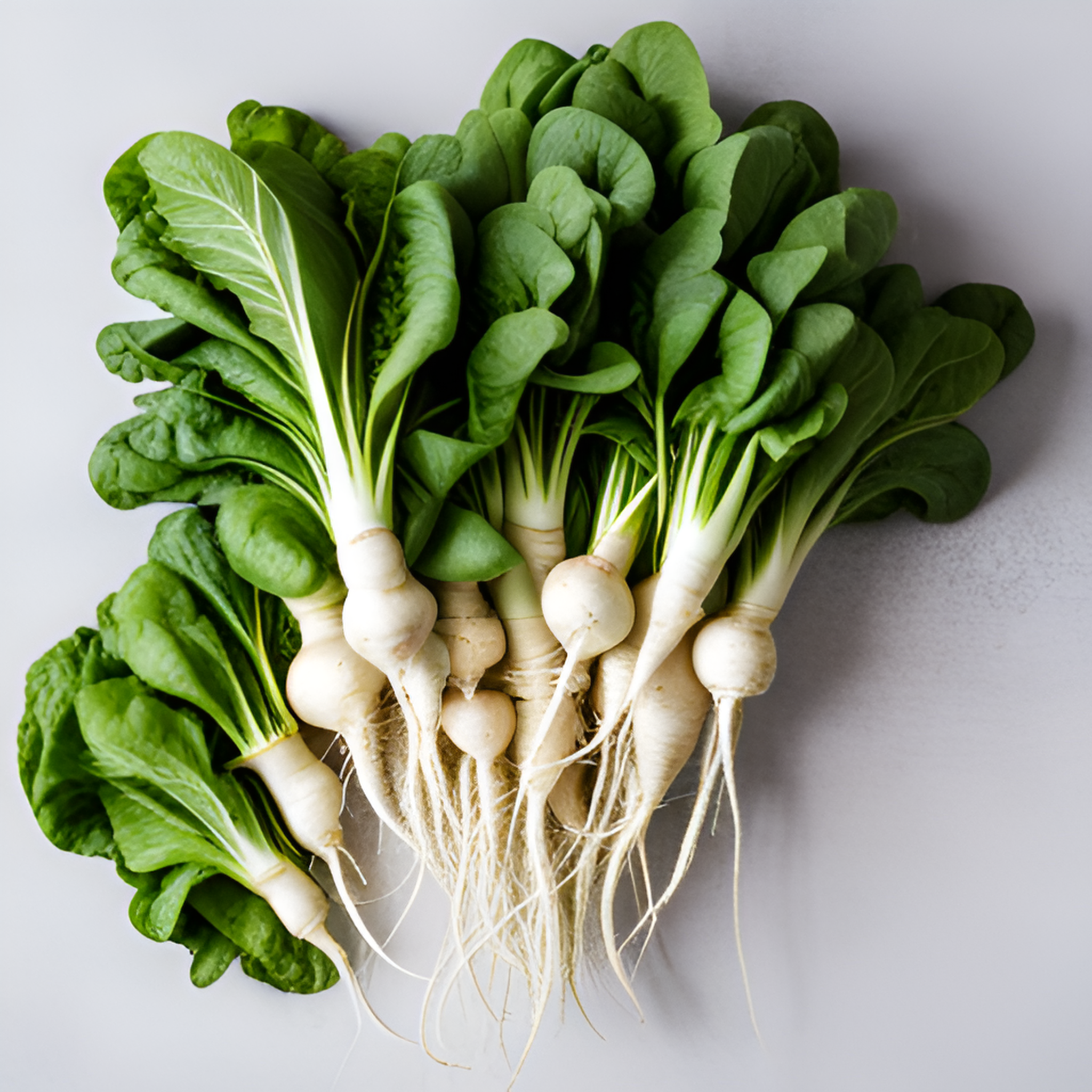 무의 장단점&amp;#44; 그리고 효능