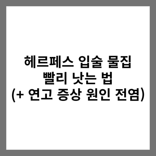 헤르페스 입술 물집 빨리 낫는 법 (+ 연고 증상 원인 전염)
