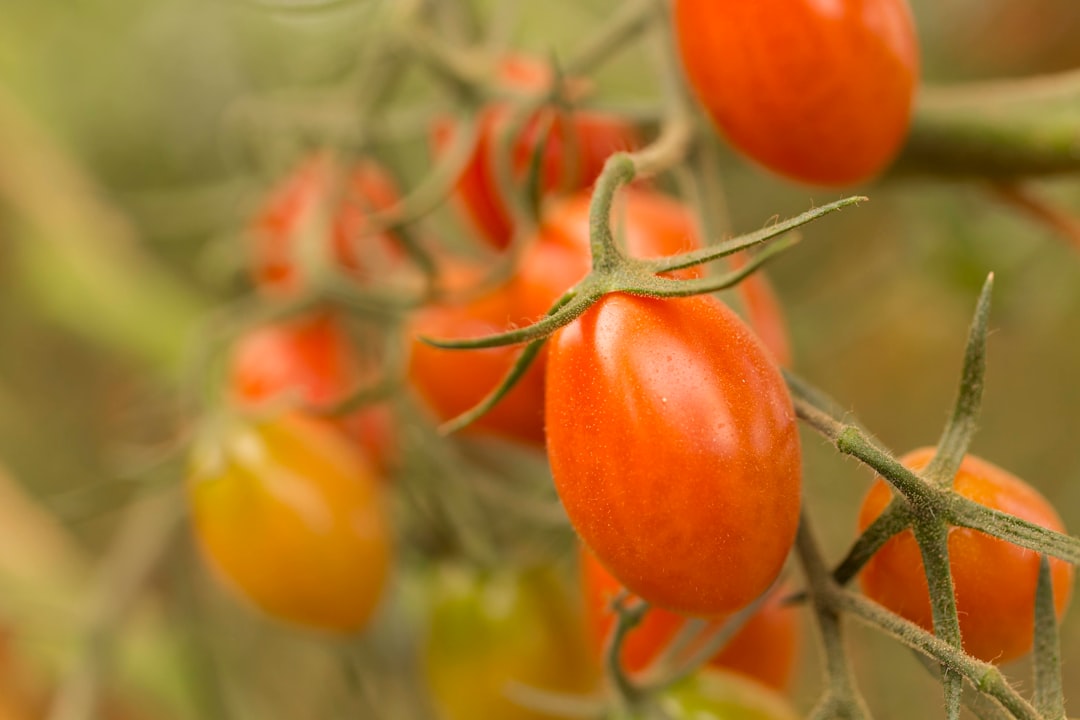Agricultural
