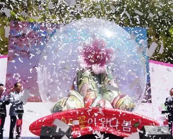 비슬산 참꽃축제_6