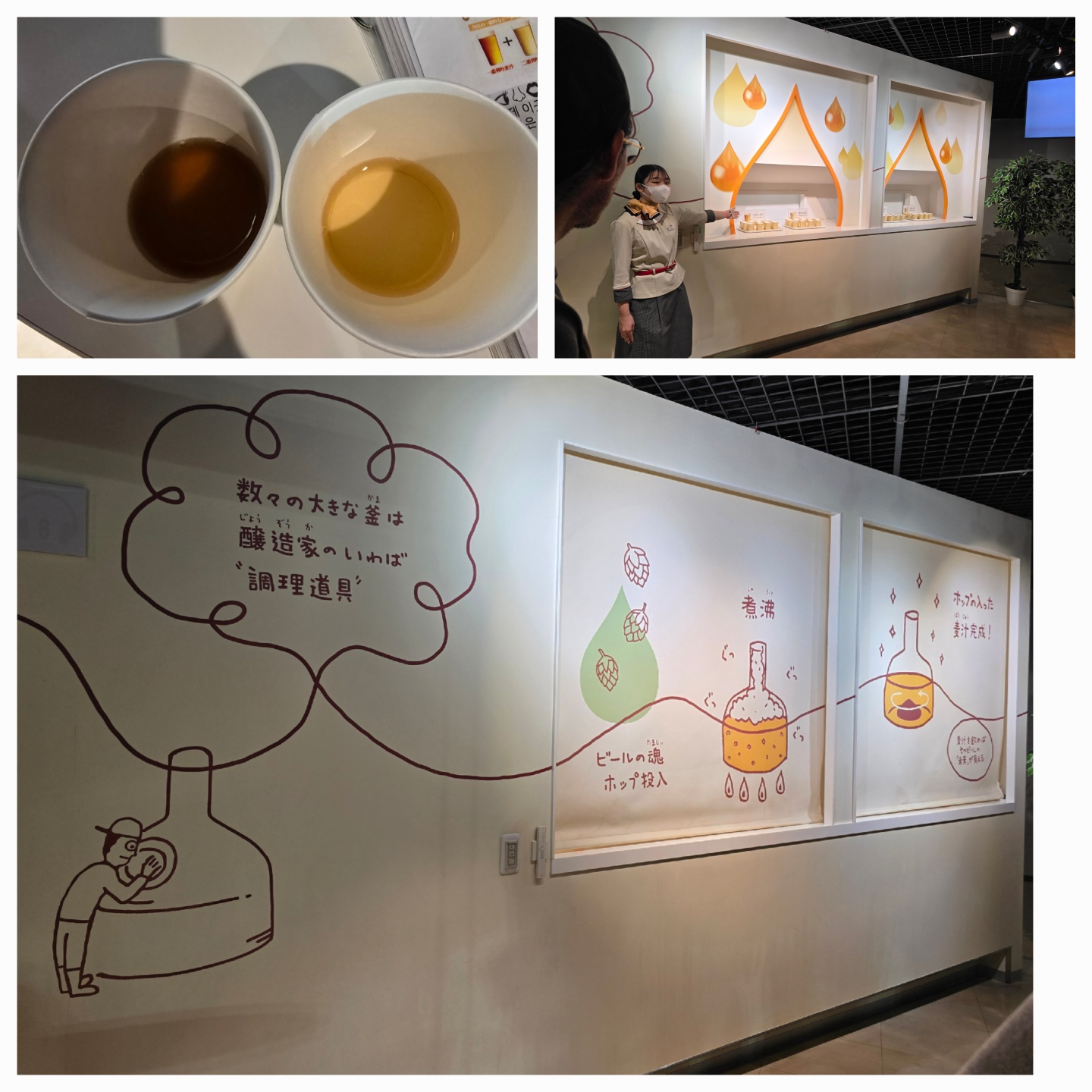 맥즙에대한설명