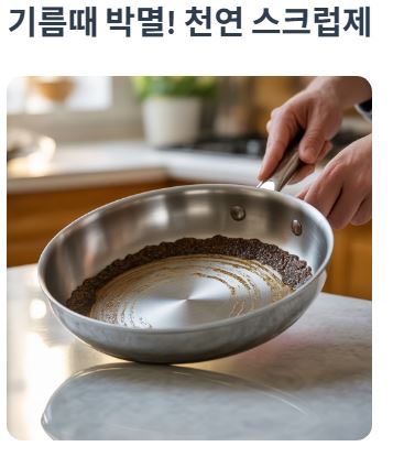 스크럽제로 활용