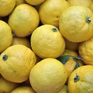 성대 결절에 좋은 5가지 음식 - 유자