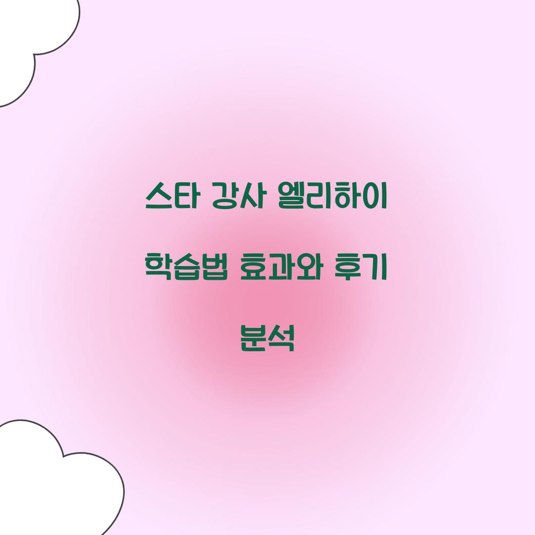 스타 강사 엘리하이 학습법