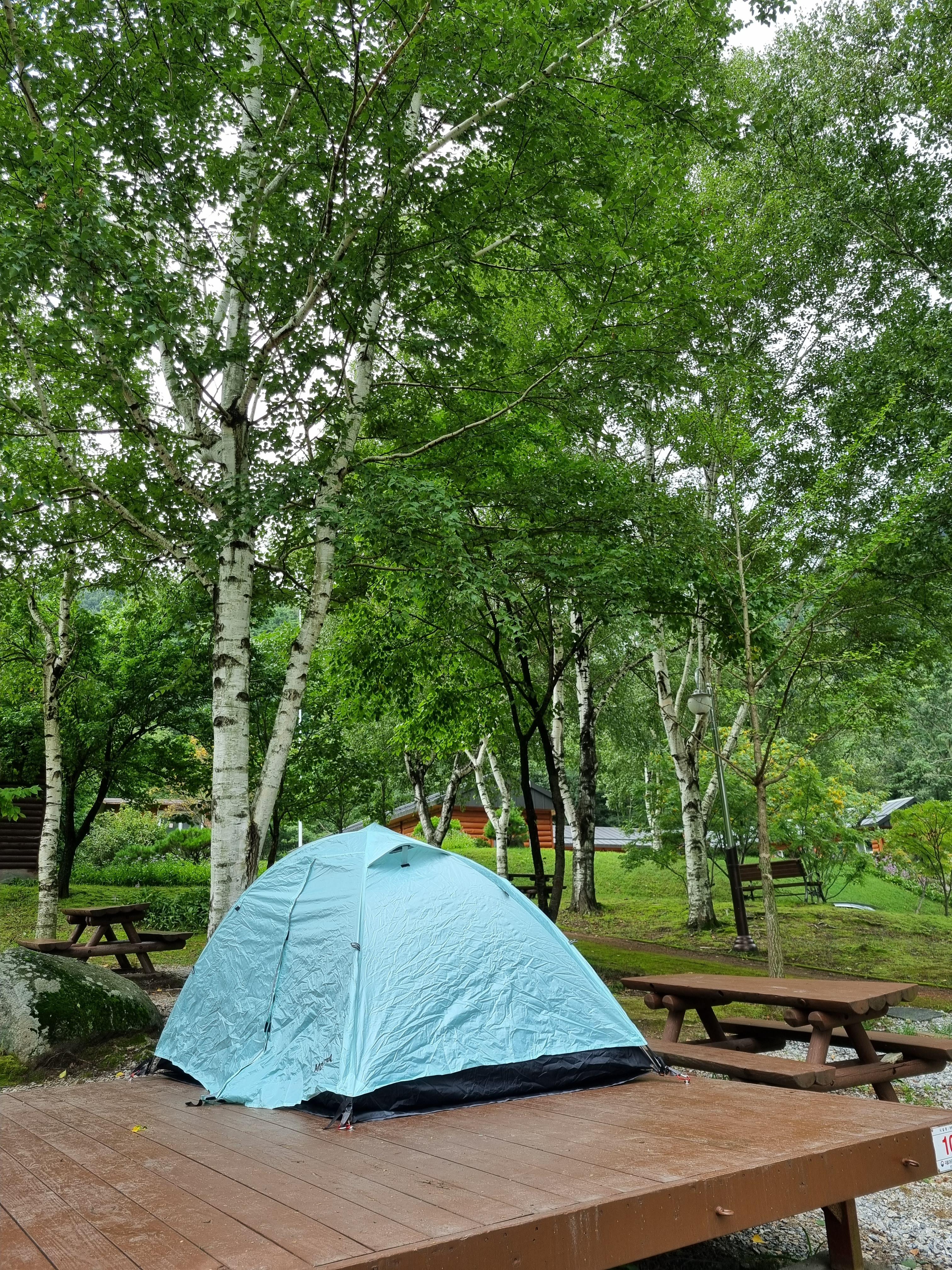 대관령_자연휴양림_야영장