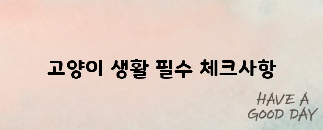 고양이 키우기 입양 전 꼭 알아야 할 점