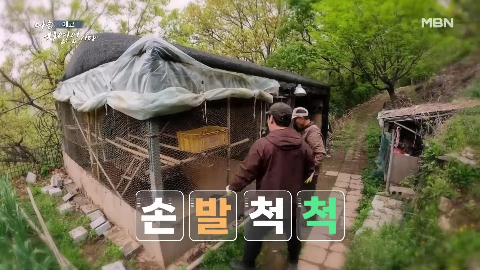 나는 자연인이다 42년 공무원 출신 산야초 대통밥 봄 나물 전 행복산 사랑동사무소 자연인 강이규 소개 및 이승윤 출연 552회 다시보기