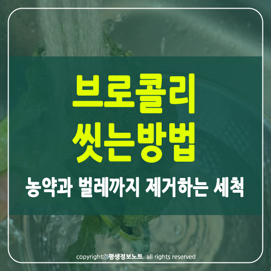 브로콜리 씻는방법 썸네일