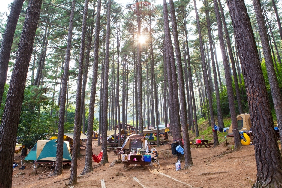 광양 가볼만한곳 베스트10
