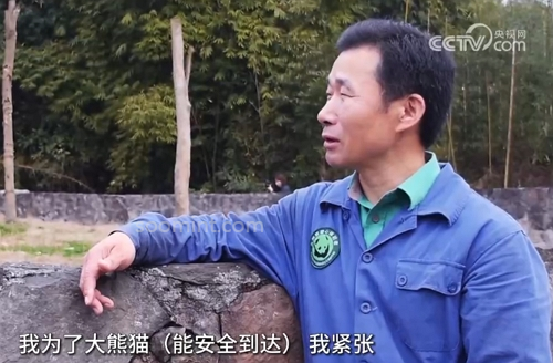 푸바오 중국 실시간 영상, 최근 소식