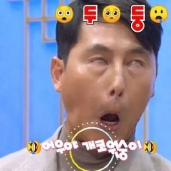 개코원숭이 일본원숭이 코주부원숭이 특징 성격 비교 이미지_21
