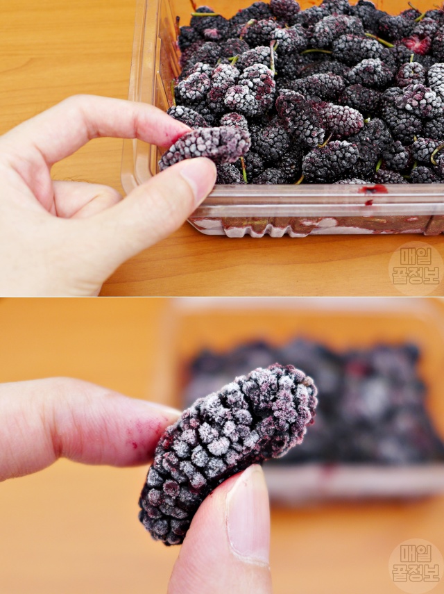 오디 효능, 뽕나무 열매, 당뇨에 좋은 음식, 오디 보관법 얼리면 좋은 음식, 얼려 먹으면 좋은 음식, 건강 팁줌 매일꿀정보