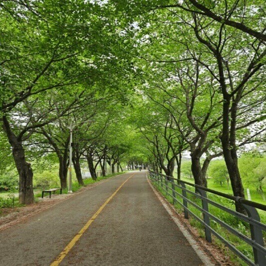 뇌를 건강하게 만드는 방법 산책