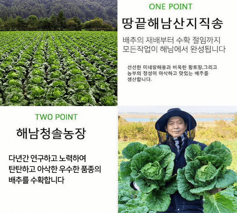 해남 절임배추 20kg 사전예약 가격비교