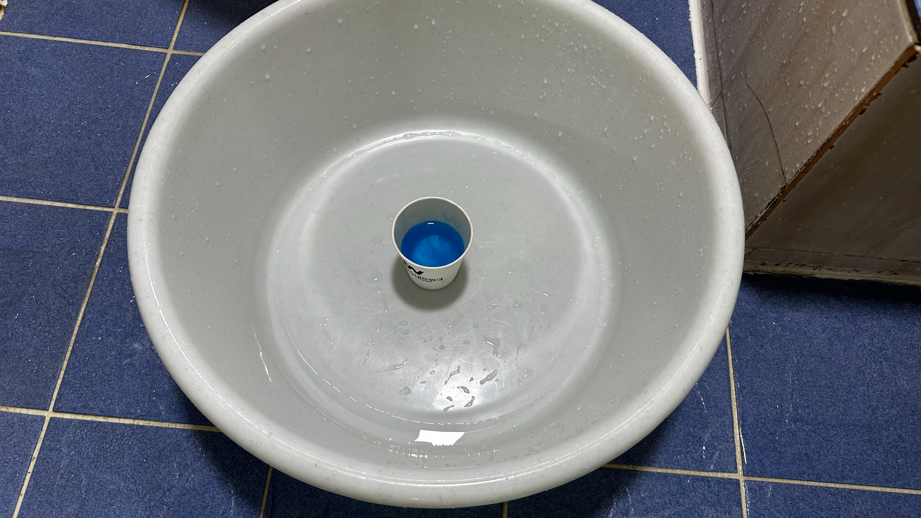 대야와 준비물1