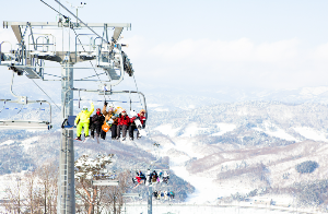 알펜시아 리조트 스키장