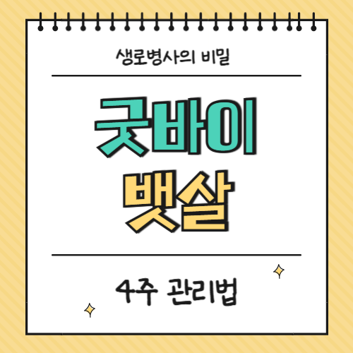 뱃살이 빠지지 않는 진짜 이유, 4주면 달라집니다