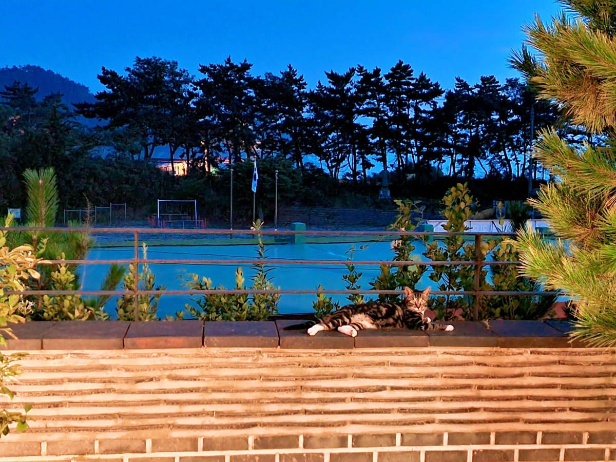 충남 태안 여행, 한채당(탼 한옥비치리조트) 한옥 체험