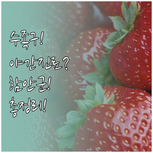 함안군 수족구 진료 병원 총정리 야간..