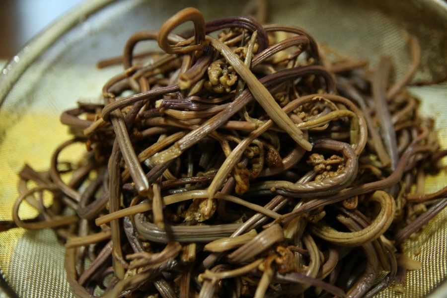 불린 고사리 모습